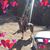 Lori Taylor's profile image