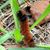 Donna McDill Flatt's profile image
