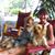 Brenda Thomas's profile image