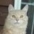 MikeandJackie Veasey's profile image