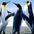 Linda Peterson-Pinkston's profile image