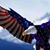 Susan Kittrell's profile image