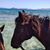 Chrisee Mignot's profile image