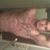 Cody Jacobs's profile image