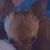Elizabeth Reedy's profile image