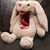 Jay Woolley's profile image