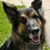 Beth Lehman's profile image