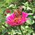Lee Anne Gfroerer's profile image