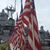 Michele Marie Reginaldi Foshee's profile image