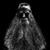 Cheryl Miller's profile image