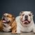 Riley N Dini McMayon's profile image