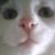 Keith Pillman's profile image