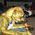 Jimmy Heilman's profile image