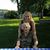 Irene DeRonda's profile image