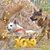Connie Lee's profile image