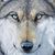 Cheri Franciskovich Booker's profile image