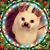 Kim Holubik's profile image