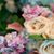 Ammie Pettay's profile image