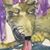 Yiyu Do's profile image