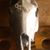 Michael Mccune's profile image