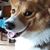 Bruce Barkan's profile image