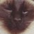 Patricia Bush's profile image