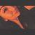 Tamika Willett's profile image