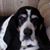 Daniel McCarthy's profile image
