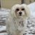 Jean Ann Berschens's profile image