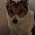Tina Byrd's profile image