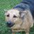 Rooroo Stevens's profile image