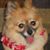 Joanna Davis's profile image