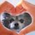 Stacey Weiss's profile image