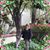 Mary Lou Andersen's profile image