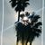 Grisel G Rodriguez's profile image