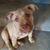 Jann Hicks's profile image