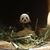 Michelle Ho's profile image