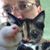 Tim Thurner-Byers's profile image