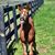 Elizabeth Capor's profile image