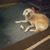 Andrea Mayer Cole's profile image