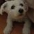 Carol Fishman's profile image