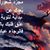 Samer Aldin's profile image