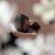 Nazdira AbFa's profile image