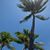 Susan E Morseman's profile image