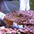 Casendra Ostrander's profile image