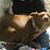 Nelson MrCalifornia Bergren III's profile image