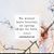Shelley Campagna Beaulac's profile image