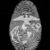 Stephen Penland's profile image