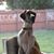 Buffy Eggleston-Smith's profile image