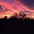 Yolanda Saucier's profile image